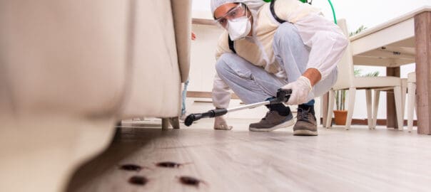 Tips and Tricks for Finding the Best Pest Control in Tampa A Guide to Negotiating Affordable Prices and Effective Solutions
