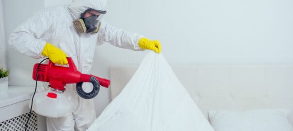 The Best Tampa Pest Control Company For Ticks And Fleas